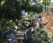  Com trabalho intenso durante a noite, Copel religa quase 90% das unidades afetadas pelo temporal - Na foto, trabalhos na área central dae Maringá: avenidas Mandacaru, XV de Novembro, Colombo e Rua Piratininga - Curitiba, 24/04/2022 Com trabalho intenso durante a noite, Copel religa quase 90% das unidades afetadas pelo temporal - Na foto, trabalhos na área central de Maringá: avenidas Mandacaru, XV de Novembro, Colombo e Rua Piratininga - Curitiba, 24/04/2022