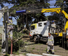  Com trabalho intenso durante a noite, Copel religa quase 90% das unidades afetadas pelo temporal - Na foto, trabalhos na área central dae Maringá: avenidas Mandacaru, XV de Novembro, Colombo e Rua Piratininga - Curitiba, 24/04/2022 Com trabalho intenso durante a noite, Copel religa quase 90% das unidades afetadas pelo temporal - Na foto, trabalhos na área central de Maringá: avenidas Mandacaru, XV de Novembro, Colombo e Rua Piratininga - Curitiba, 24/04/2022