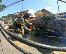  Com trabalho intenso durante a noite, Copel religa quase 90% das unidades afetadas pelo temporal - Na foto, trabalhos na área central dae Maringá: avenidas Mandacaru, XV de Novembro, Colombo e Rua Piratininga - Curitiba, 24/04/2022 Com trabalho intenso durante a noite, Copel religa quase 90% das unidades afetadas pelo temporal - Na foto, trabalhos na área central de Maringá: avenidas Mandacaru, XV de Novembro, Colombo e Rua Piratininga - Curitiba, 24/04/2022