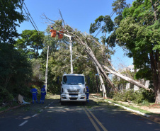 Equipes da Copel trabalham na reconstrução das redes elétricas danificadas pelo temporal do fim de semana - Curitiba, 25/04/2022