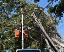 Equipes da Copel trabalham na reconstrução das redes elétricas danificadas pelo temporal do fim de semana - Curitiba, 25/04/2022