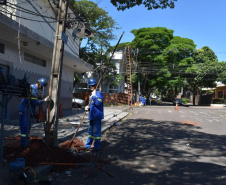 Equipes da Copel trabalham na reconstrução das redes elétricas danificadas pelo temporal do fim de semana - Curitiba, 25/04/2022