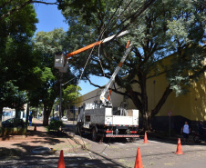 Equipes da Copel trabalham na reconstrução das redes elétricas danificadas pelo temporal do fim de semana - Curitiba, 25/04/2022