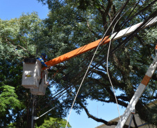 Equipes da Copel trabalham na reconstrução das redes elétricas danificadas pelo temporal do fim de semana - Curitiba, 25/04/2022