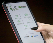  Aplicativo Paraná Mais Verde pode ser baixado no sistema Android