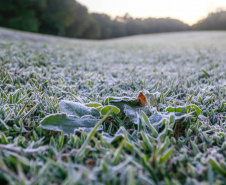 Paraná registra temperaturas mais baixas do ano nesta terça-feira