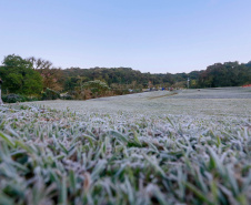 Paraná registra temperaturas mais baixas do ano nesta terça-feira