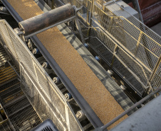 Volume de granéis embarcado a leste do Porto de Paranaguá aumenta 7,4% no 1º quadrimestre do ano