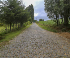 Estrada Rural na Comunidade de Ribeirão de Cima, em Teixeira Soares - 