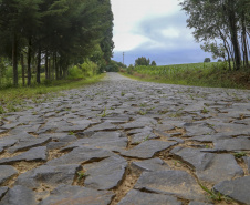 Estrada Rural na Comunidade de Ribeirão de Cima, em Teixeira Soares - 