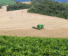 IDR-Paraná faz recomendações para colheita de feijão segunda safra