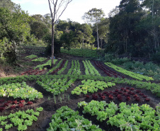 Intercâmbio de saberes ancestrais da população negra: jardim do MUPA recebe Feira de Sementes Quilombolas