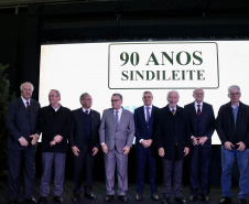 SINDILEITE