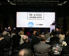SINDILEITE