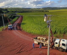 PR Trifásico já alcança 7.913 quilômetros de novas redes rurais em todo o Paraná