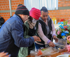 CAPACITA MAIS PARANÁ