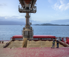 Volume de granéis embarcado a leste do Porto de Paranaguá aumenta 7,4% no 1º quadrimestre do ano