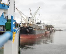 Quadrimestre fecha com aumento de 2,4% na movimentação de cargas pelos portos do Paraná