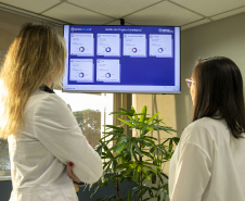 Portos do Paraná inova e lança painel com andamento de seus atos e projetos