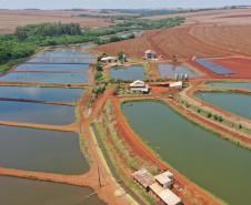 Boletim Semanal Agropecuário