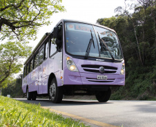 Governo do Paraná envia Ônibus Lilas para dar suporte no atendimento e orientação gratuitos às mulheres vítimas de violência ao município de Paranapoema