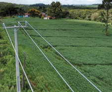 PR Trifásico já alcança 7.913 quilômetros de novas redes rurais em todo o Paraná