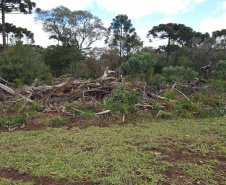 Fiscalização do IAT identifica 336 hectares de desmatamento e resulta em multas de R$2,33 milhões