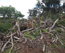 Fiscalização do IAT identifica 336 hectares de desmatamento e resulta em multas de R$2,33 milhões