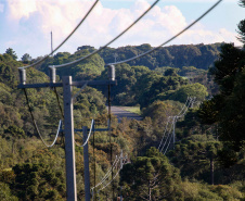 PR Trifásico já alcança 7.913 quilômetros de novas redes rurais em todo o Paraná