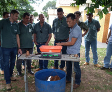 Novas tecnologias na produção de mandioca é tema de capacitação de técnicos do setor