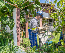 Com 350 mil medidores digitais instalados, Copel avança com Rede Elétrica Inteligente 