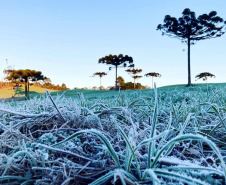 Frio intenso marca a semana no Paraná