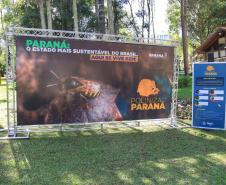 No Dia Mundial das Abelhas, Governo destaca importância da preservação das espécies nativas - 20/05/2022