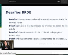   Doutora em Ciências Florestais fala sobre ESG e sustentabilidade em live do BRDE Cenários