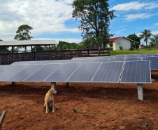 Semana das Energias Renováveis divulga novidades e mobiliza produtores em todo o Estado