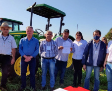 Dia de Campo do Projeto Mandioca Renda mostra resultados de cultivares