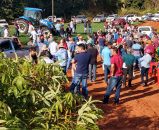 Dia de Campo do Projeto Mandioca Renda mostra resultados de cultivares