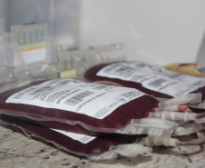 Em ação solidária, Paraná destina 124 bolsas de sangue a Pernambuco