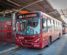 Comec aumenta fluxo de ônibus para atender demanda de São José dos Pinhais