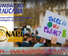 Araucária promove o lançamento do NAPI Emergência Climática
