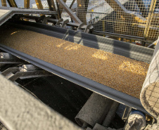Exportação de milho a granel sobe 161% pelo Porto de Paranaguá