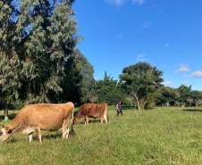 IDR-Paraná participa do maior evento agroecológico do país