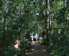 Com apoio do Estado, Foz do Iguaçu prevê crescimento nos próximos anos