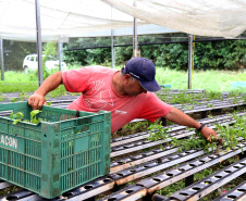   Renda Agricultor Familiar fica em 3º lugar no Prêmio Estratégia ODS 2022