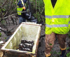 Toneladas de resíduos são retirados de manguezais no Litoral do Paraná