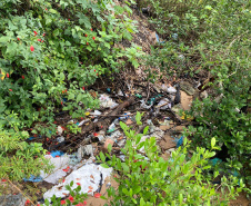 Toneladas de resíduos são retirados de manguezais no Litoral do Paraná