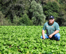 Projetos de transferência de renda para a agricultura familiar serão ampliados no Paraná