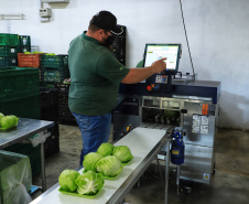 Projetos de transferência de renda para a agricultura familiar serão ampliados no Paraná - 