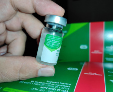 Paraná prorroga vacinação contra a gripe e solicita novas doses para o Ministério da Saúde