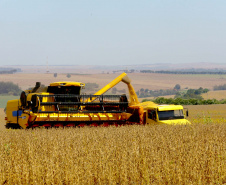 IDR-Paraná celebra 50 anos de pesquisa com lançamento de novas cultivares